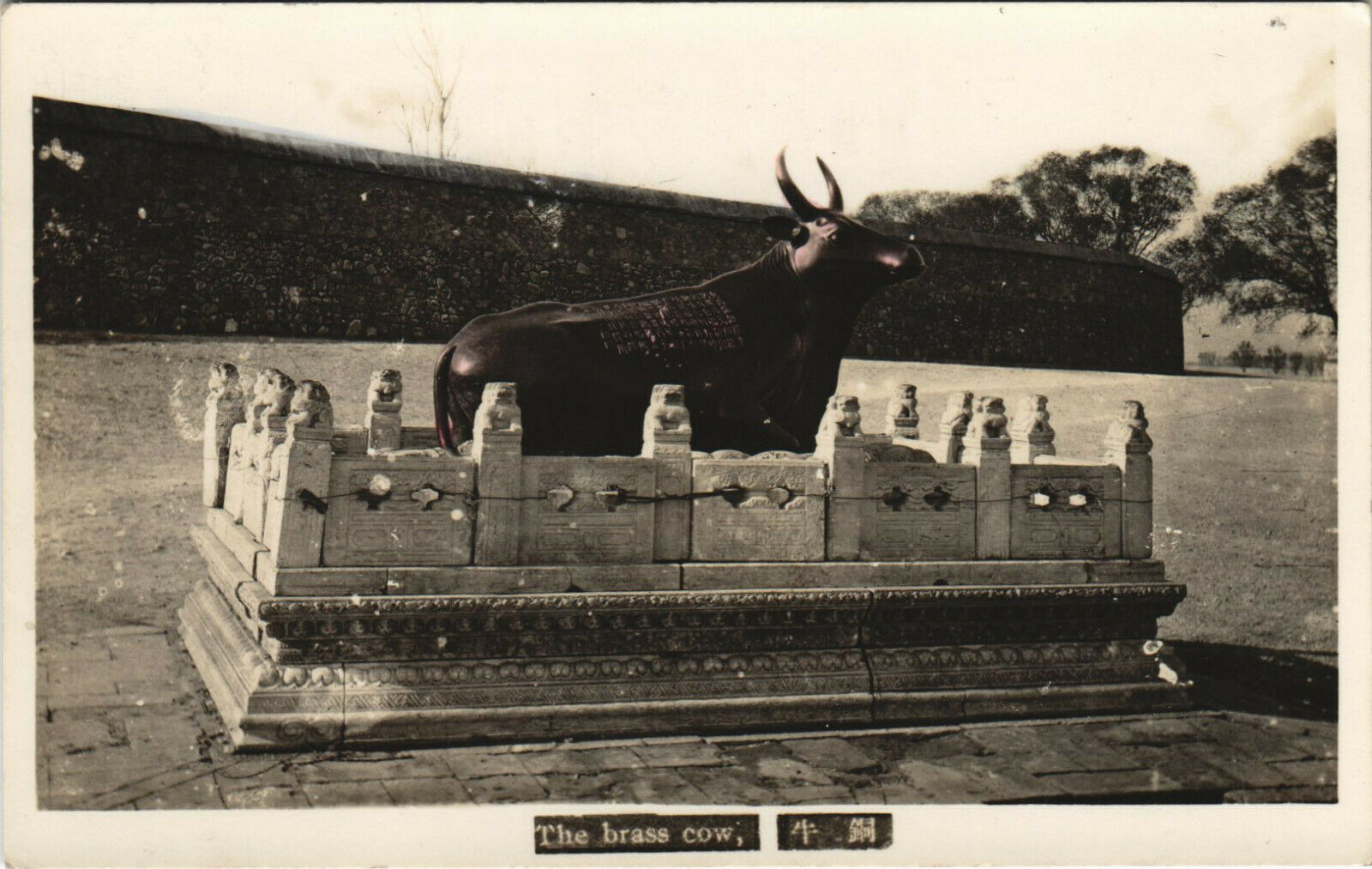 PC CHINA, THE BRASS COW, Vintage REAL PHOTO Postcard (b27641)
