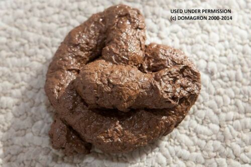 HIGH QUALITY Fake Dog Poop Poo Realistic Doggy Doo Doo Dirt Joke Gag Crap Pile