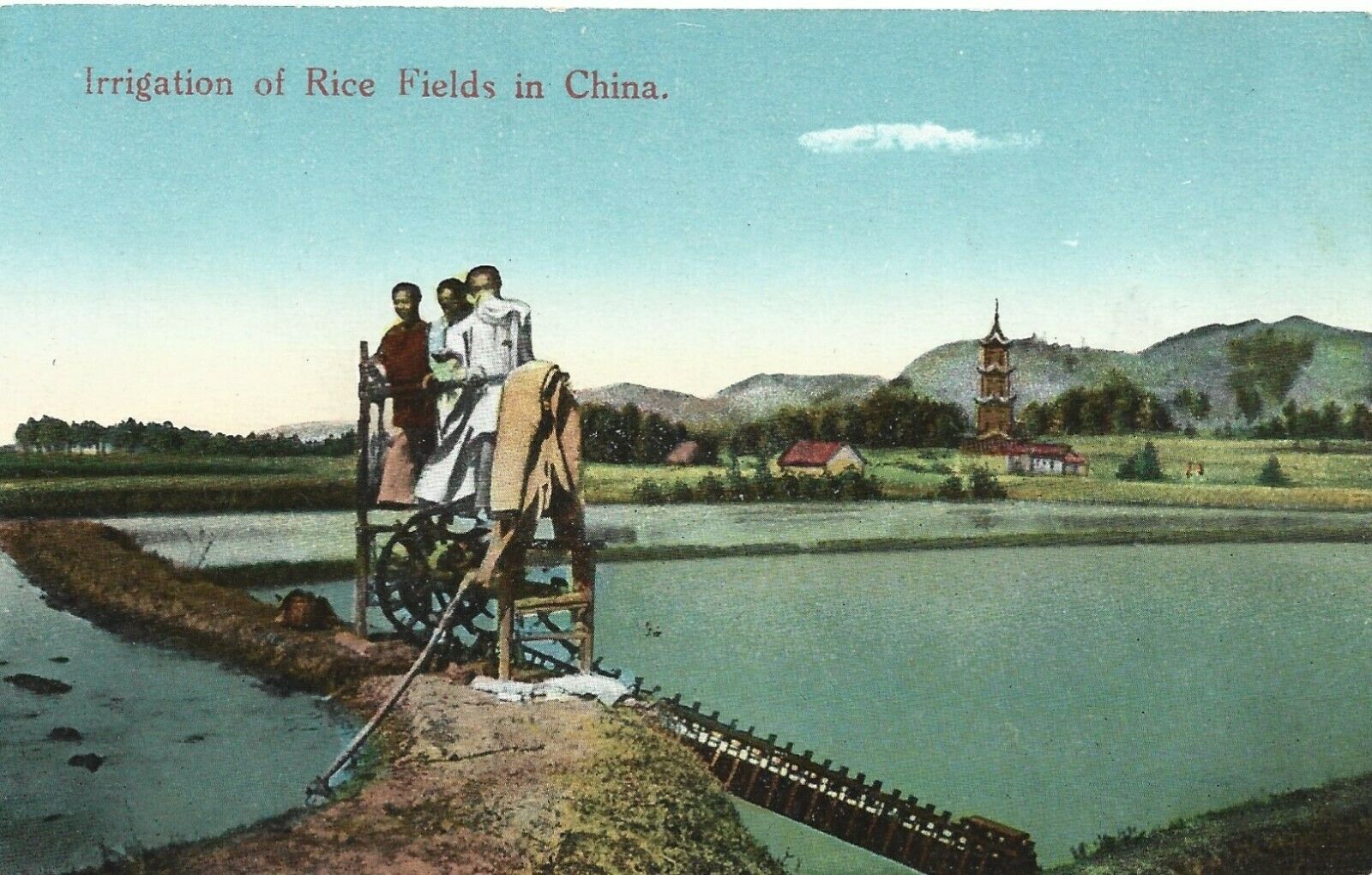 Irrigation Of Rice Fields  China