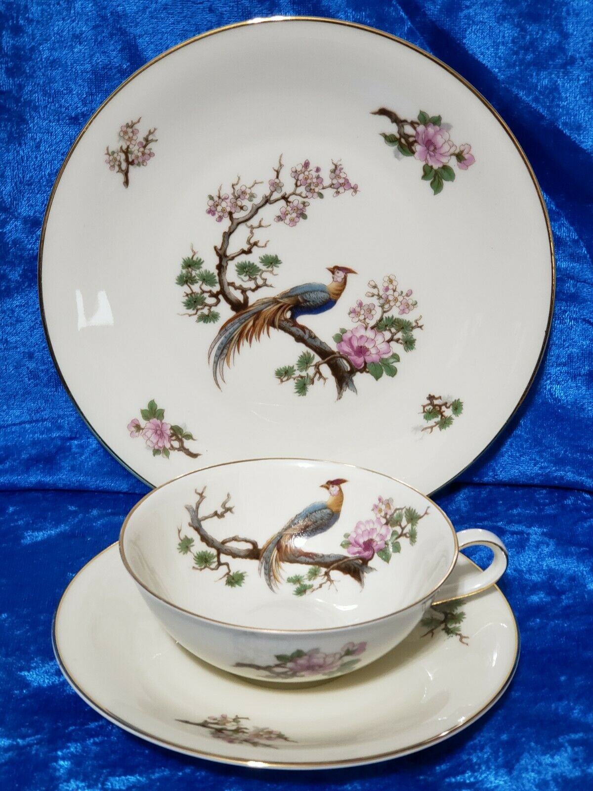 Vintage Heinrich & Co. Selb Bird Of Paradise Tea Cup & Saucer & 7 1/2